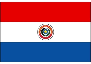 世界杯纸模：助威国旗(F2-巴拉圭)