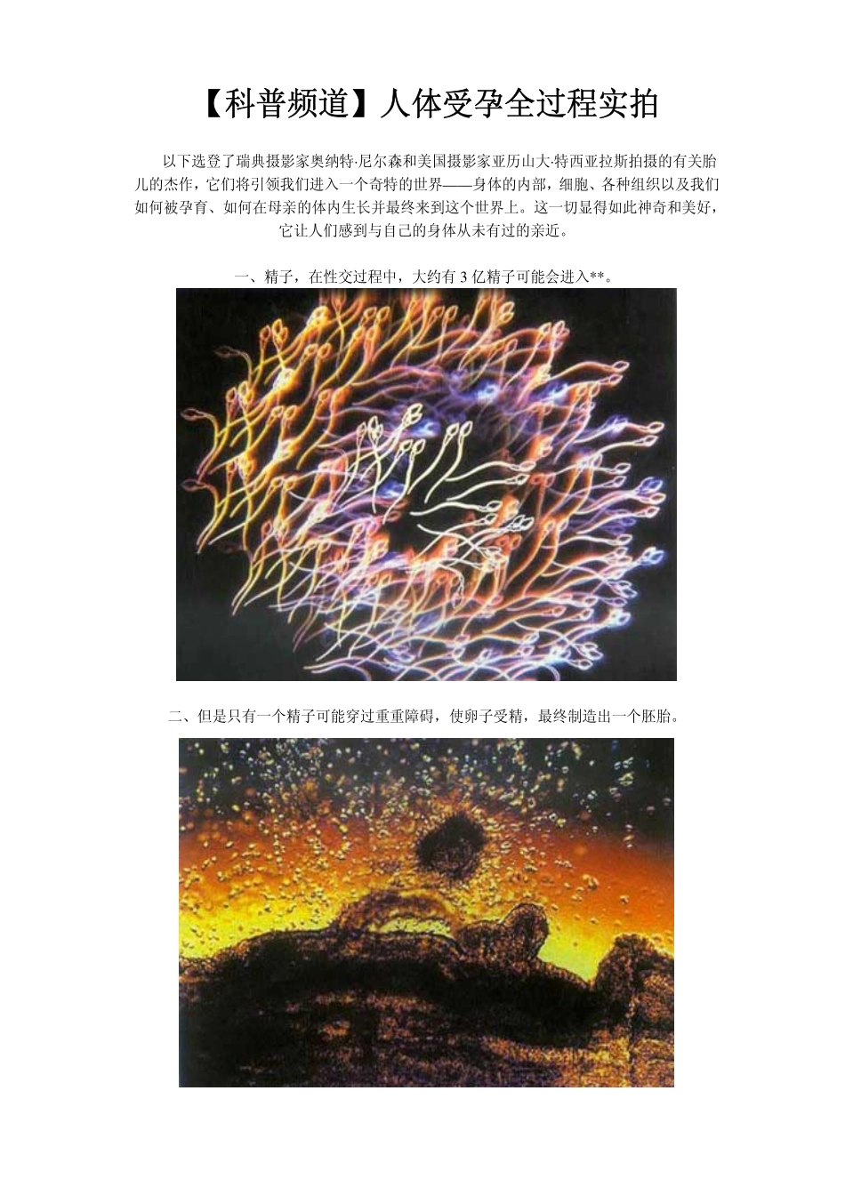 [精品]【科普频道】人体受孕全过程实拍_第1页