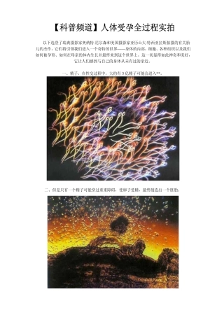 [精品]【科普频道】人体受孕全过程实拍