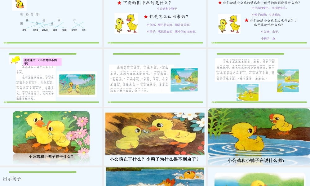 (部编)人教语文2011课标版一年级下册5、小公鸡和小鸭子ppt