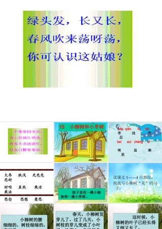 15小柳树和小枣树