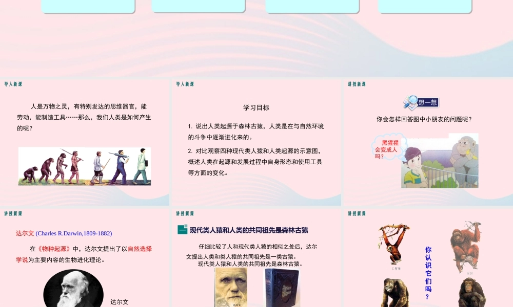 科学家的故事-我国科学家与北京猿人