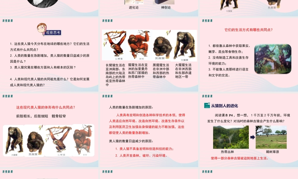 科学家的故事-我国科学家与北京猿人