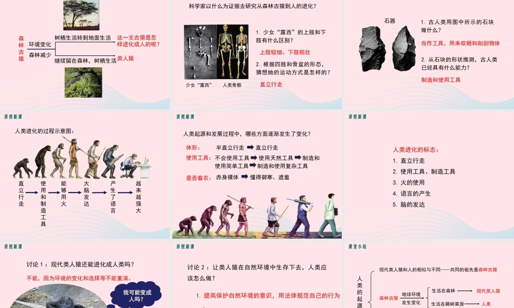 科学家的故事-我国科学家与北京猿人