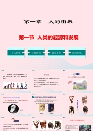 科学家的故事-我国科学家与北京猿人