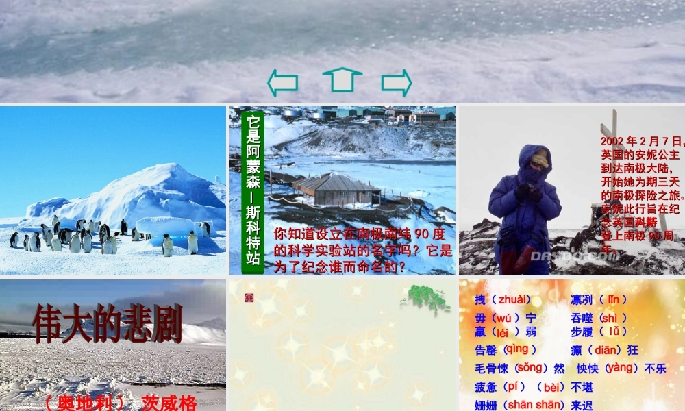 (部编)初中语文人教2011课标版七年级下册21.伟大的悲剧-(3)