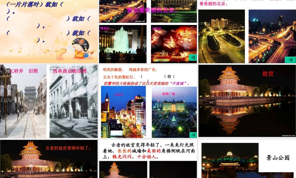 董亮亮-北京亮起来了