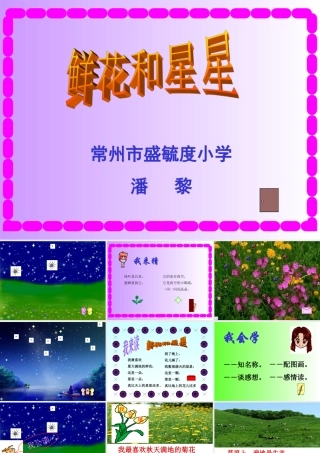 14、鲜花和星星课件