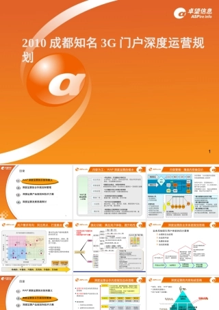 2010成都知名3G门户深度运营规划