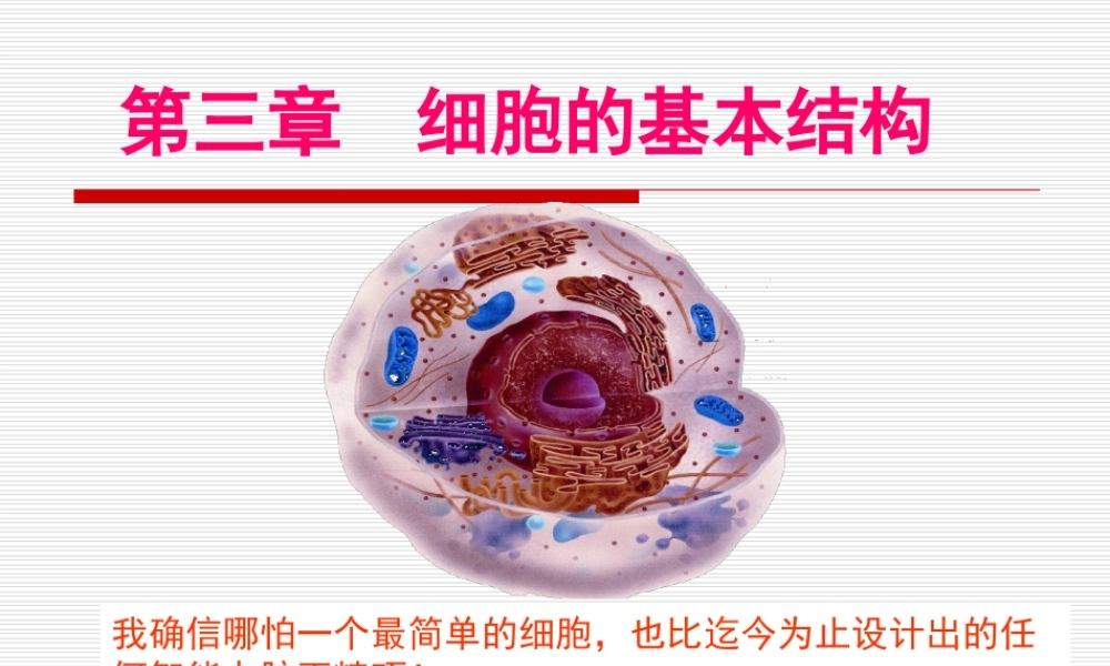 《细胞膜——系统的边界》