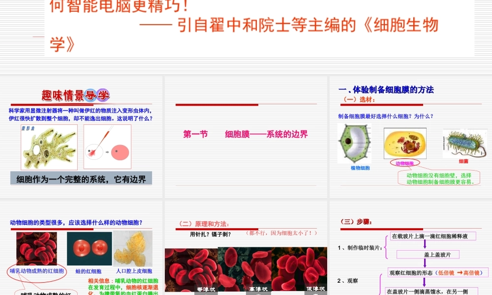 《细胞膜——系统的边界》