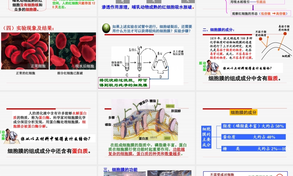 《细胞膜——系统的边界》