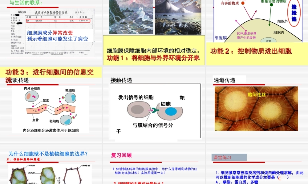 《细胞膜——系统的边界》
