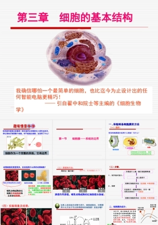 《细胞膜——系统的边界》