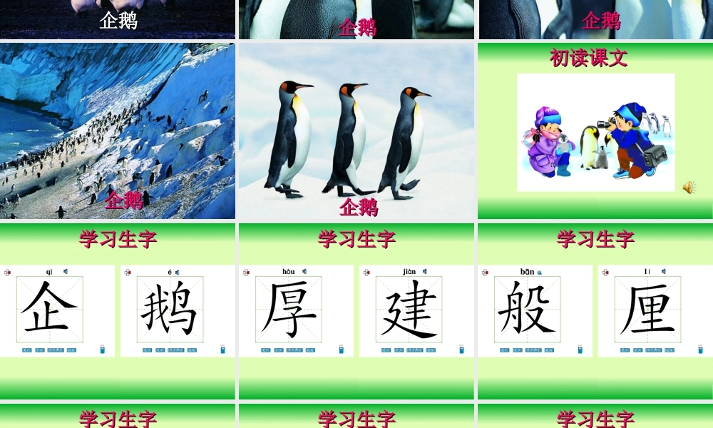 语文S版三年级下册《第14课登上企鹅岛》课件