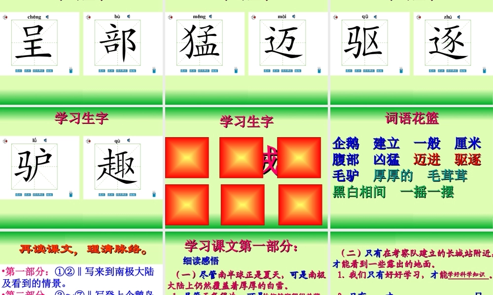 语文S版三年级下册《第14课登上企鹅岛》课件