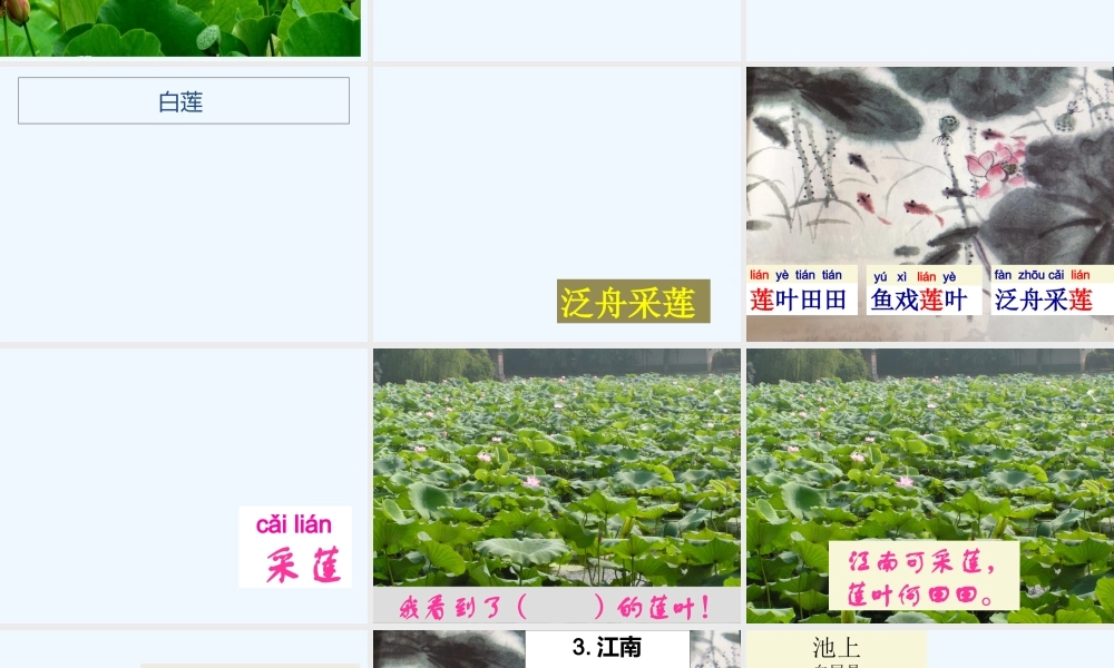 (部编)人教2011课标版一年级上册江南-(8)