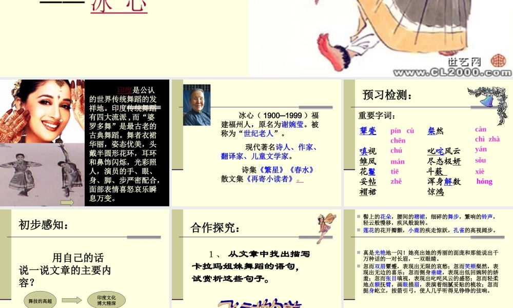 《观舞记》ppt课件123