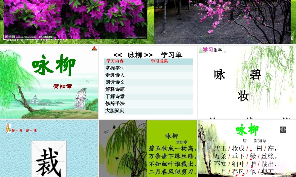 1古诗二首(春雨、咏柳)