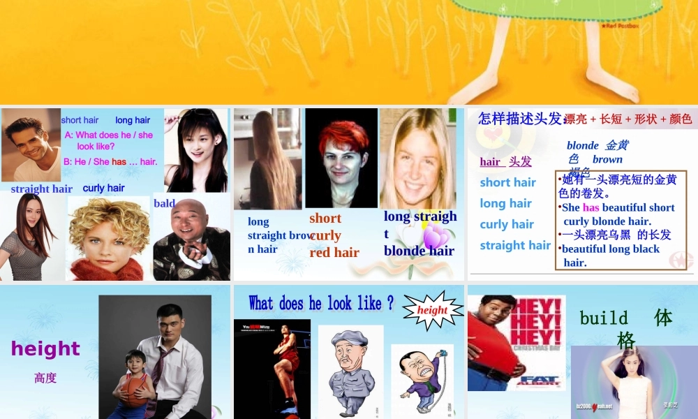 七年级英语下册-Unit-7-What-does-he-look-like课件-人教新目标版