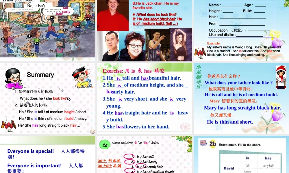 七年级英语下册-Unit-7-What-does-he-look-like课件-人教新目标版