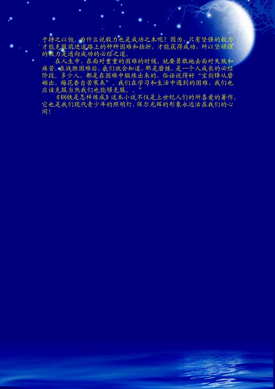 《钢铁是怎样炼成的》读书笔记2500字_第3页