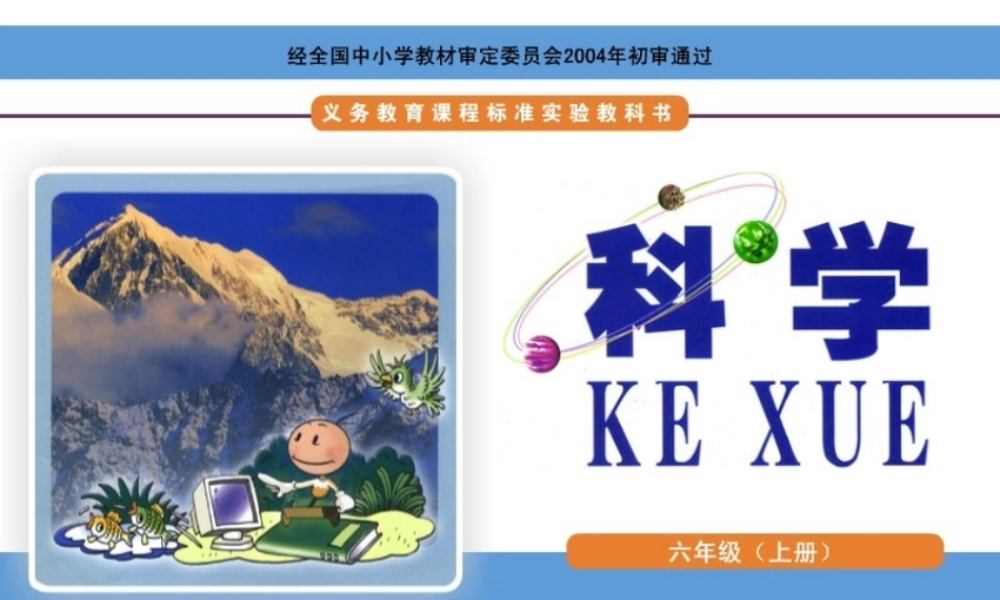 1一棵“顽强”的小树