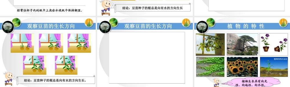 1一棵“顽强”的小树
