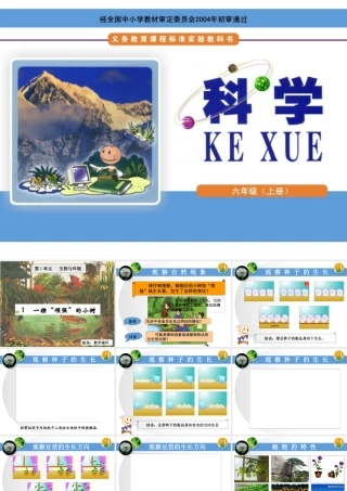 1一棵“顽强”的小树