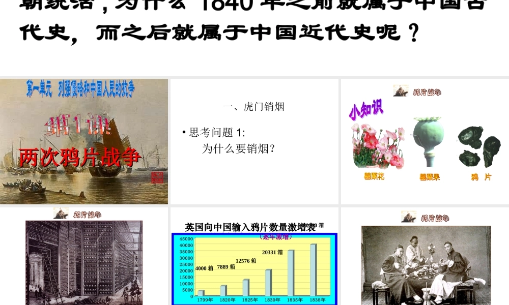 第1课两次鸦片战争课件()