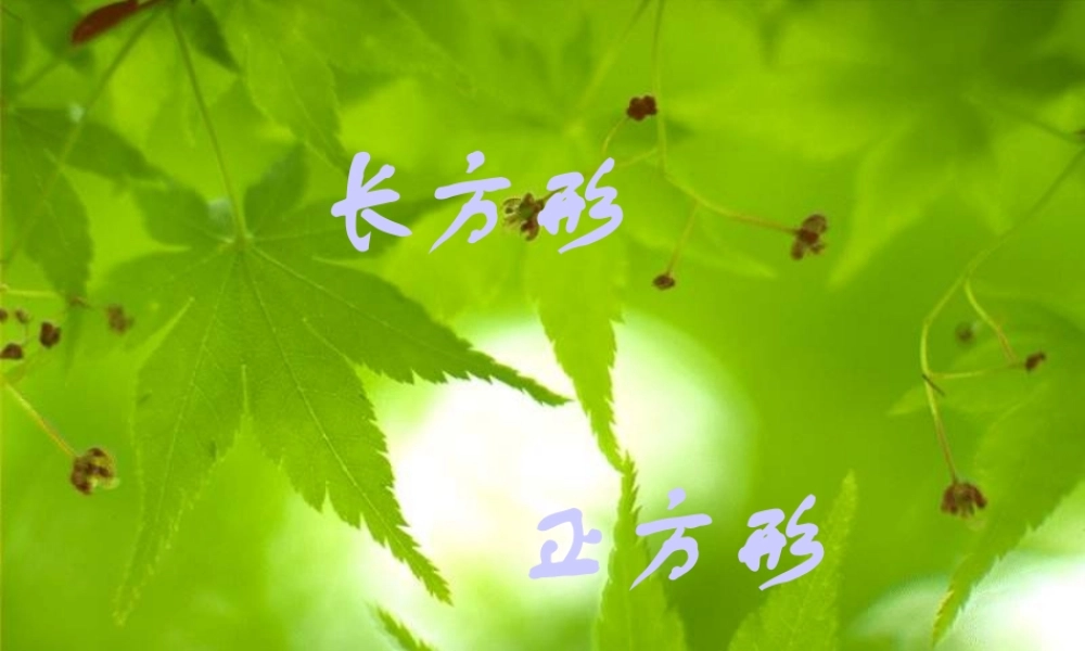 长方形和正方形