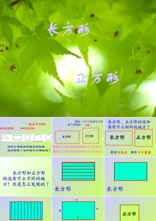 长方形和正方形