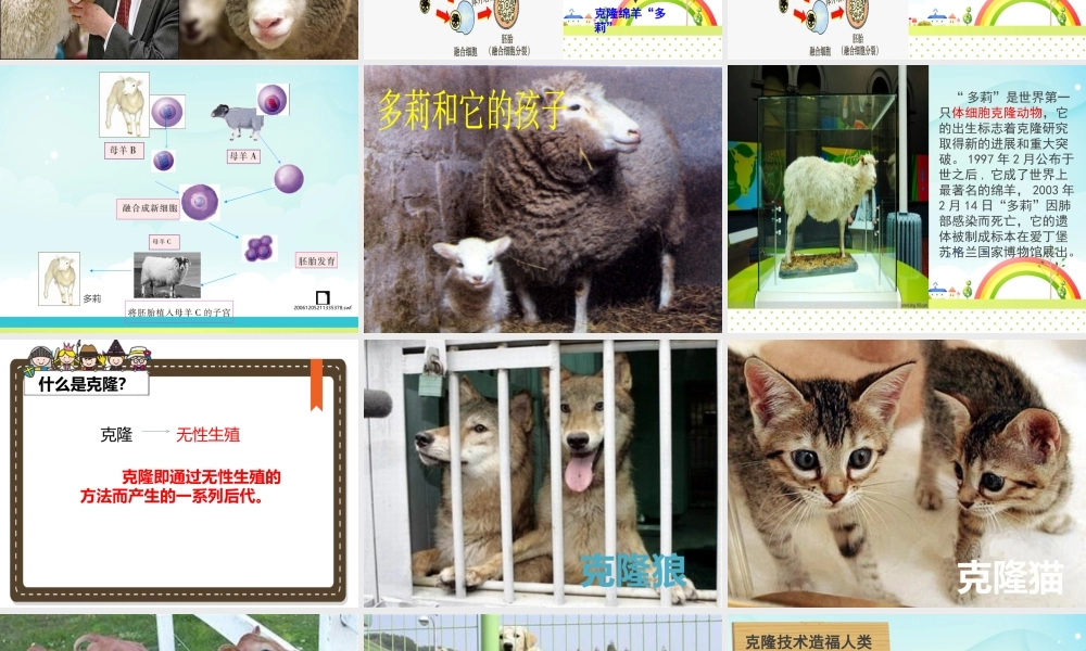 9克隆羊——多莉