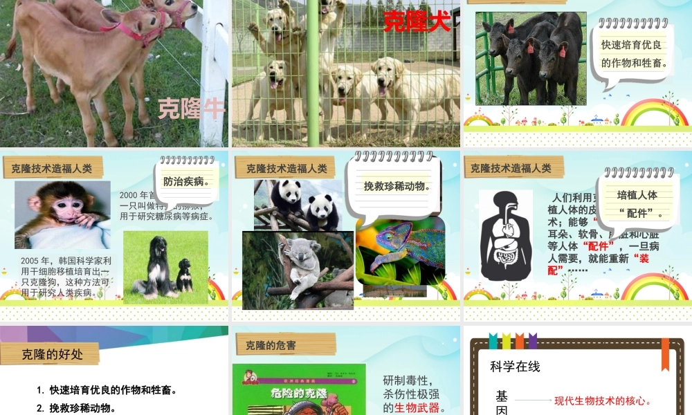 9克隆羊——多莉