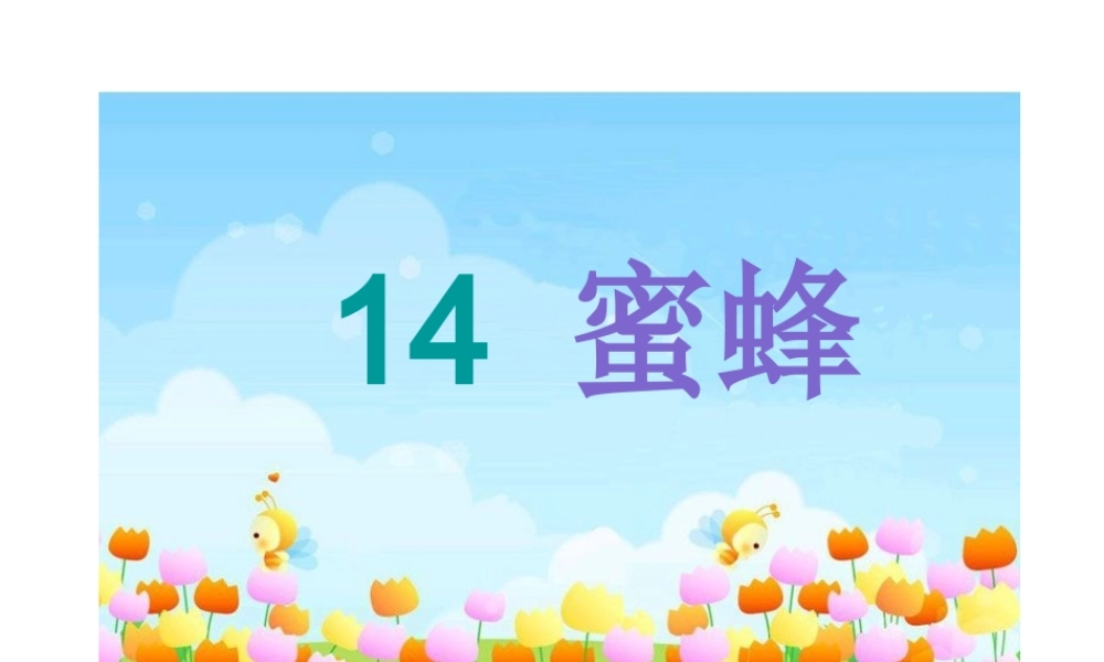 小学三年级上册语文第十四课蜜蜂课件翟美萍
