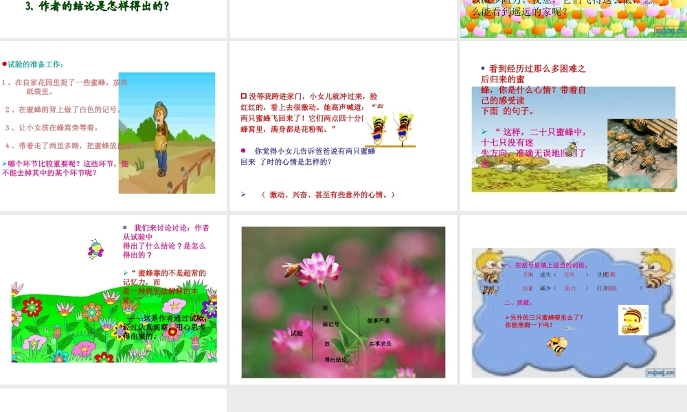 小学三年级上册语文第十四课蜜蜂课件翟美萍
