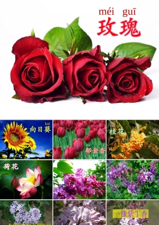 5一株紫丁香ppt课件1