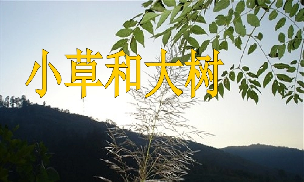 9小草和大树