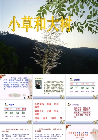 9小草和大树