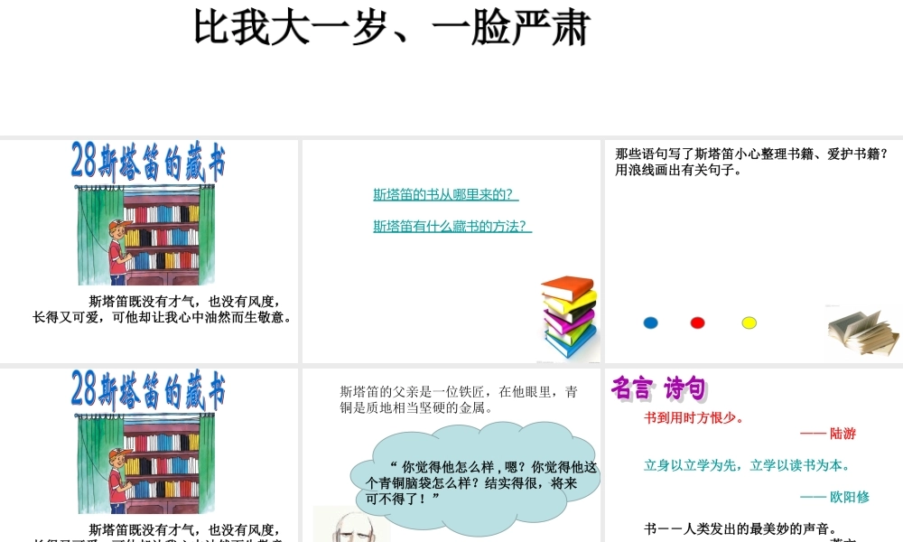 28斯塔笛的藏书