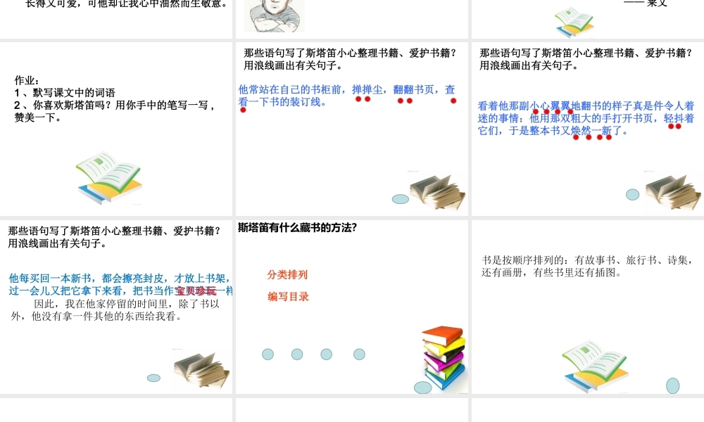 28斯塔笛的藏书