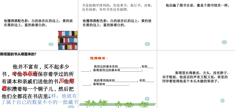 28斯塔笛的藏书