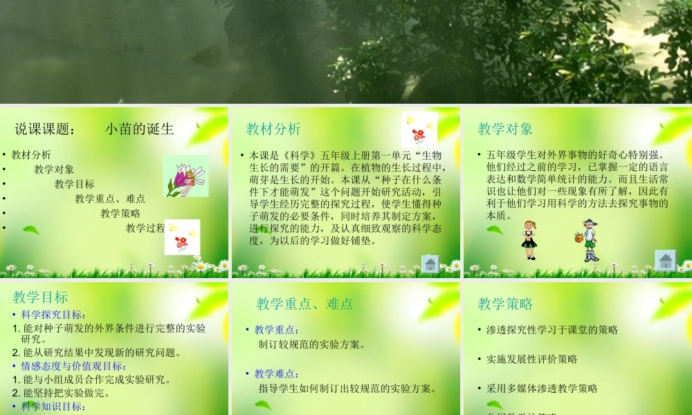 1小苗的诞生