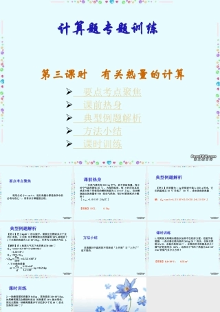 九年级物理计算题专题训练第三课时有关热量的计算 新课标 人教版 课件