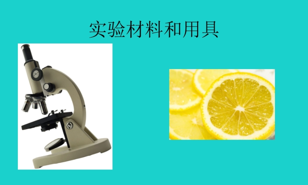 七年级生物上册 第二章 第一节 常用的生物学研究方法 实验材料和用具课件 (新版)北京版 课件