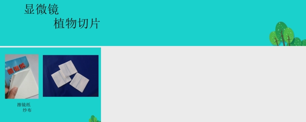 七年级生物上册 第二章 第一节 常用的生物学研究方法 实验材料和用具课件 (新版)北京版 课件
