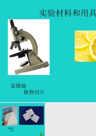 七年级生物上册 第二章 第一节 常用的生物学研究方法 实验材料和用具课件 (新版)北京版 课件