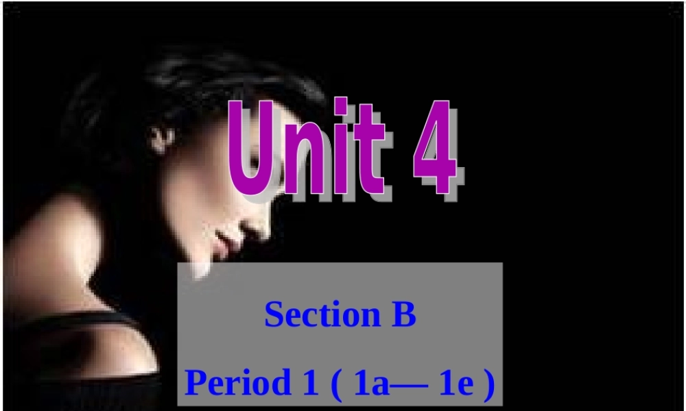SectionB1a—1e-(4)