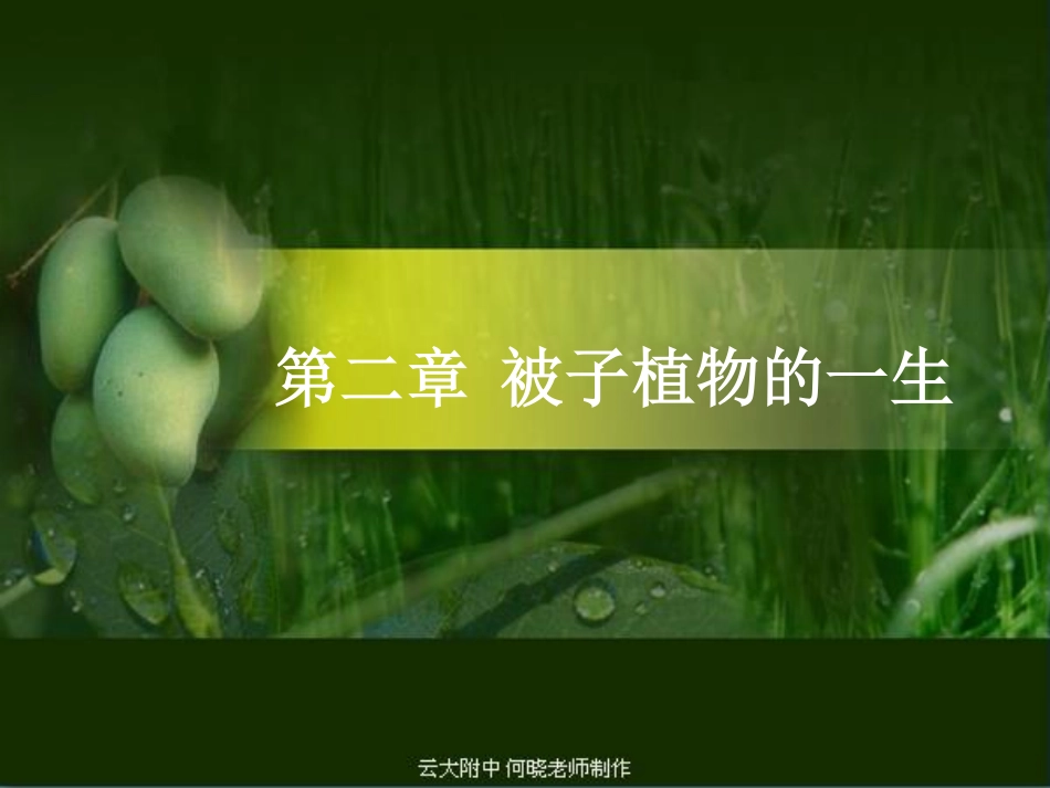 七年级生物上册 绿色植物与生物圈的水循环课件(pdf) 新人教版 课件_第1页