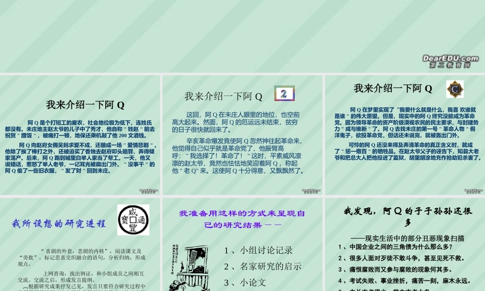 我所了解的 阿Q正传高三语文课件